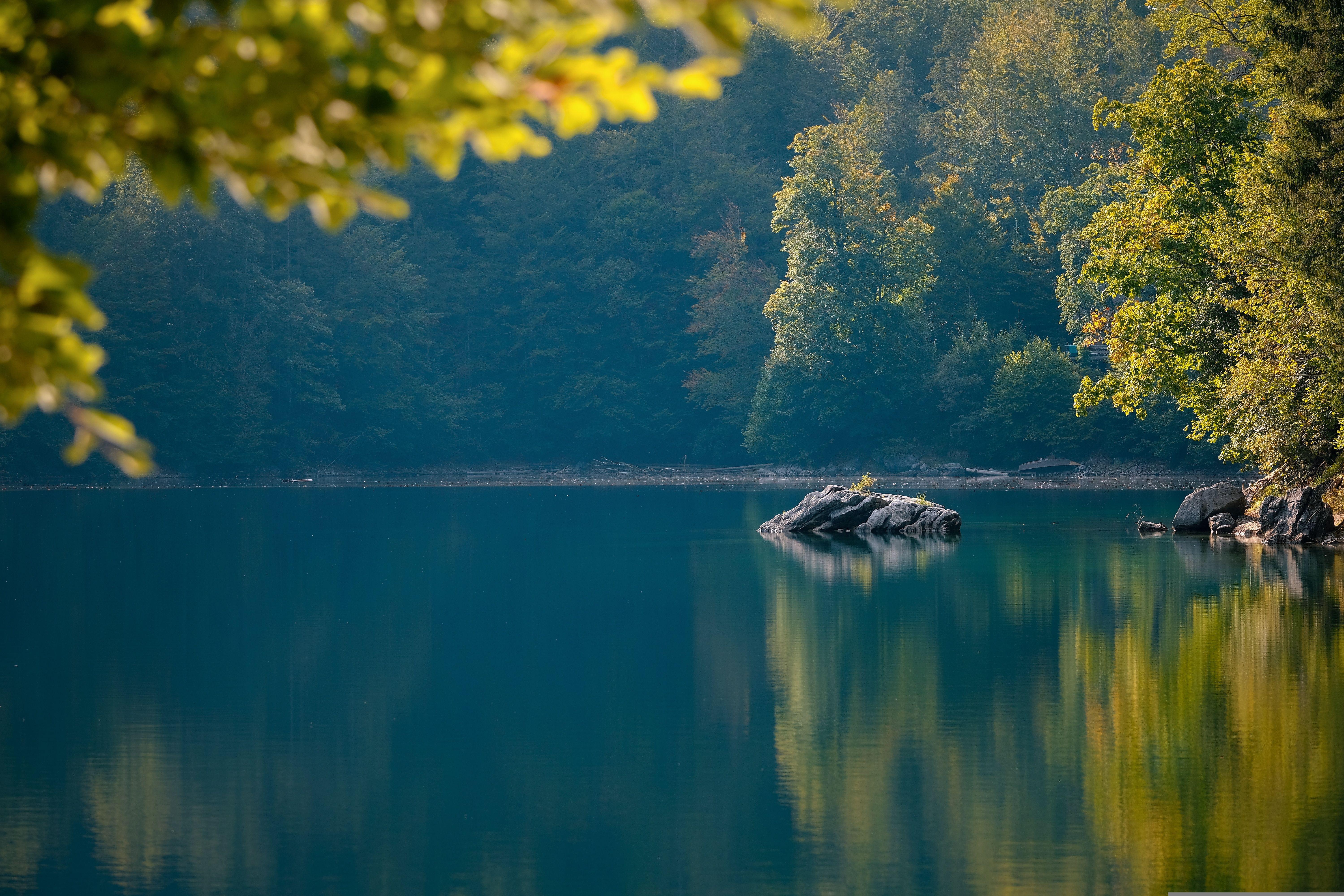 Calm lake surrounded by trees